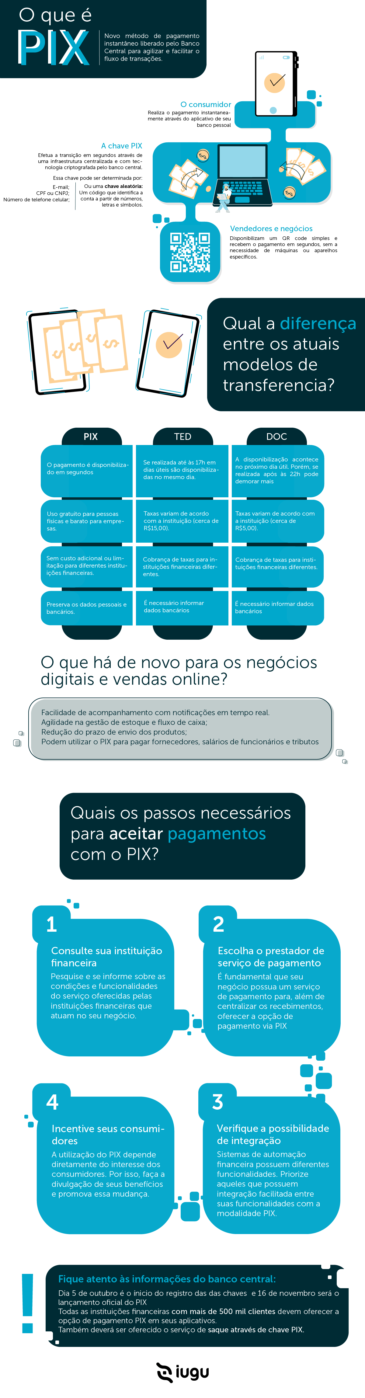 infográfico completo para entender o funcionamento via pix