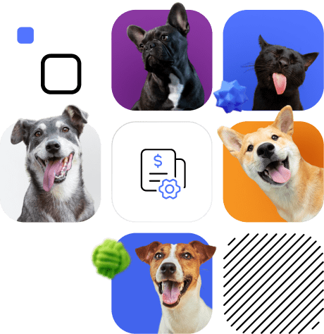 segmento_pet_min