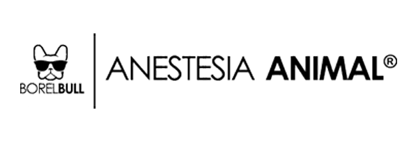 logo_borelbull__600x205 (1)